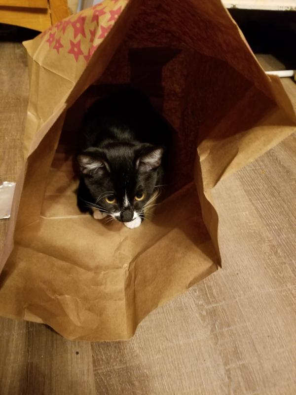 Its all mine she says