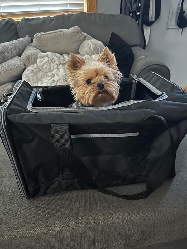 Sherpa Black Essential Soft Sided Pet Carrier for Cats & Dogs, Large Petco