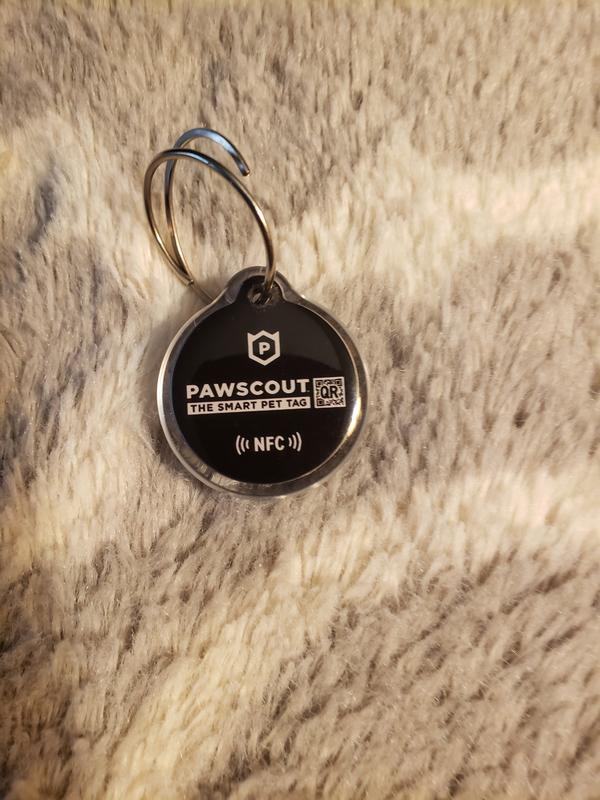 PawscoutQR Smart Tag