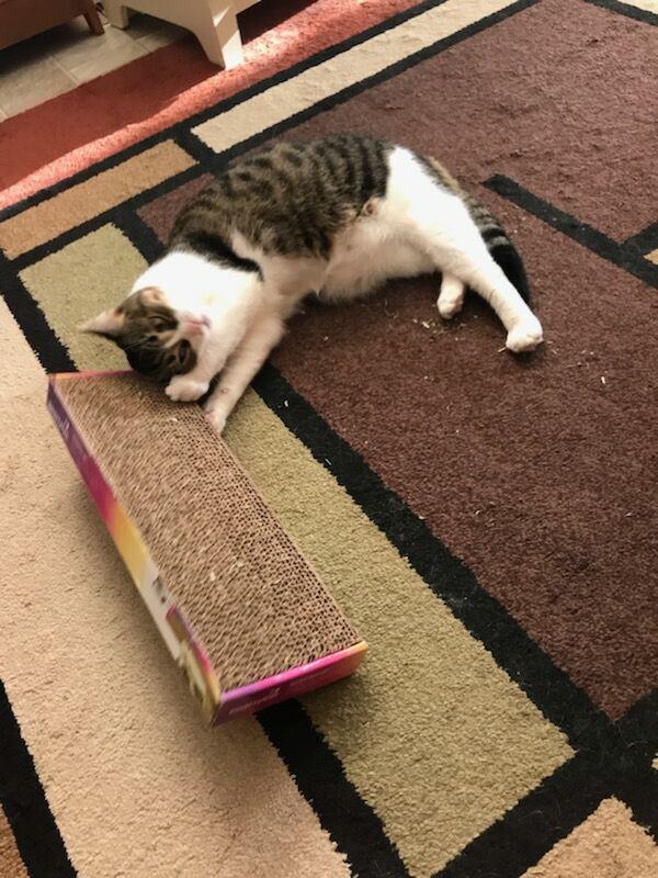 Under the influence....