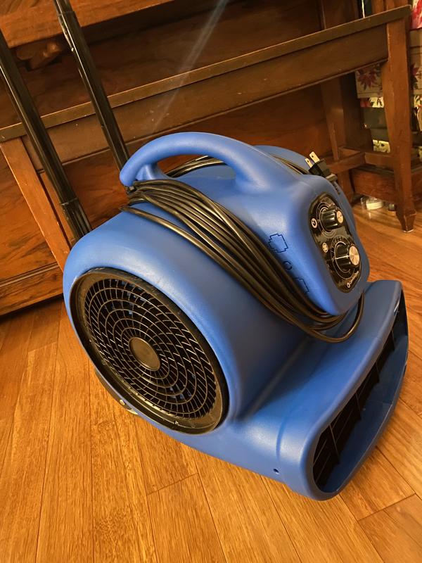 Comfort Zone 1 HP High Velocity Air Mover Carpet Dryer Blower Fan with  Timer Blue CZBC101T - The Home Depot