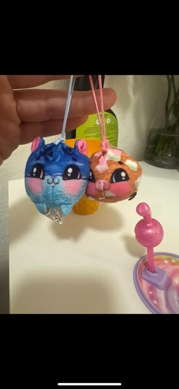 Photo - commentaire 5.