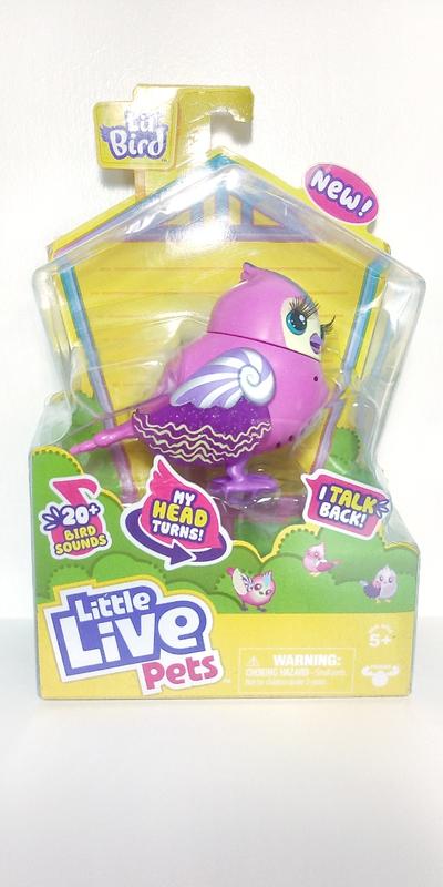 Un joli petit compagnon