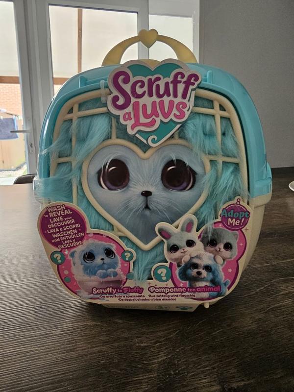 Photo - commentaire&nbsp;1.