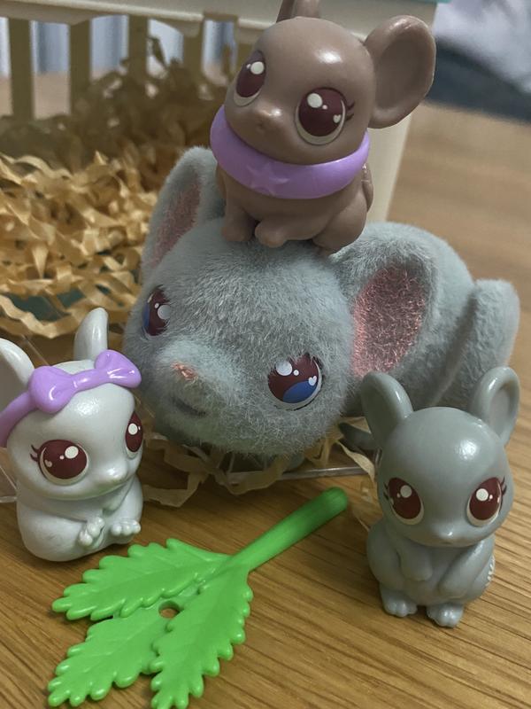Photo from Danielle T