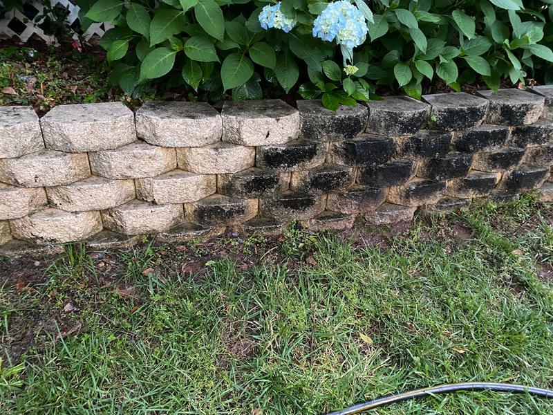 Half way through the cleaning.  WOW!!!!