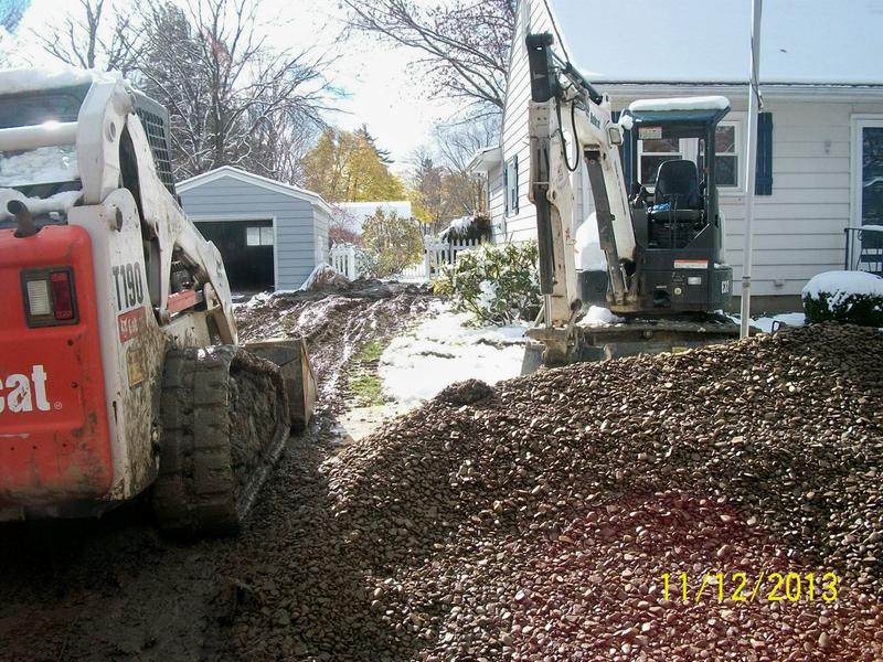 Total destruction of my lawn ... November 2013
