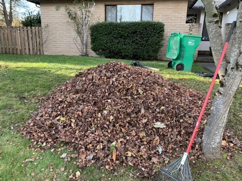 Photo - commentaire 5.