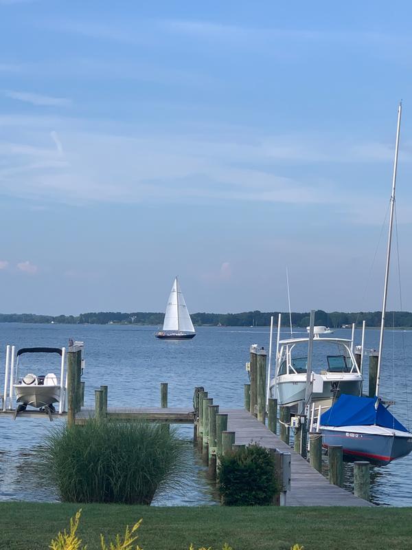 The fleet on my dock