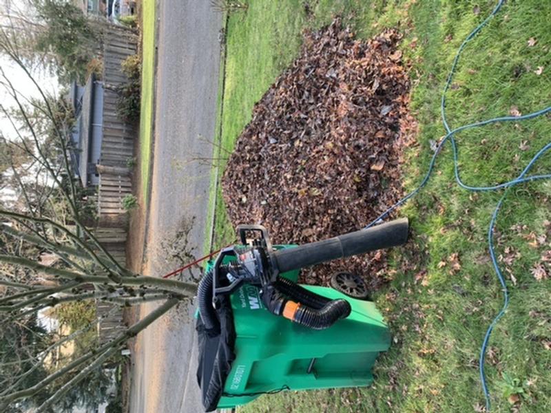 Photo - commentaire 2.