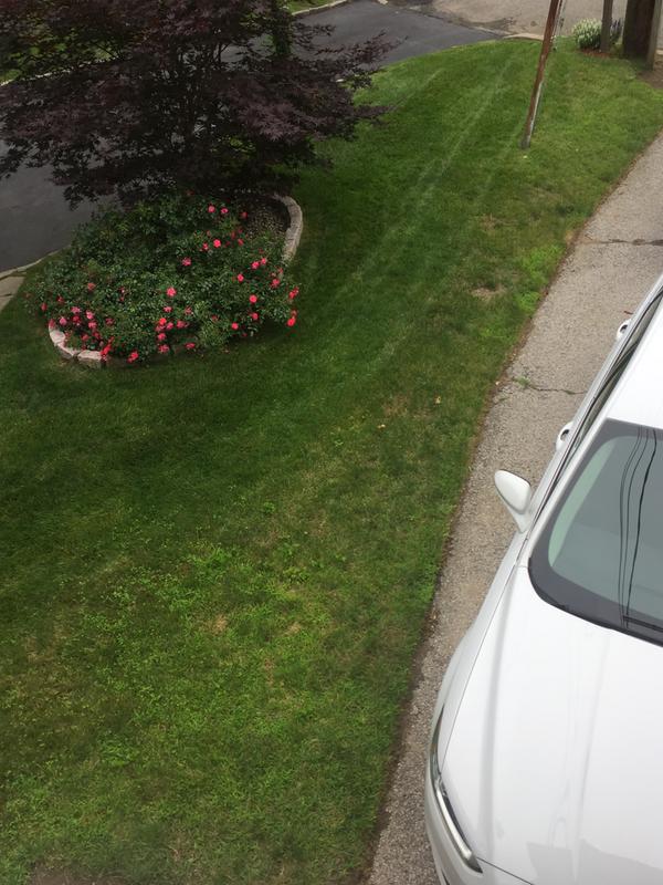 Customer photo 1
