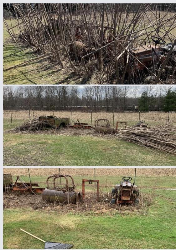 Struggled last fall, tried using a small hand saw…..,5” pruning saw made it easy!