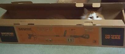 WORX ing Cat!