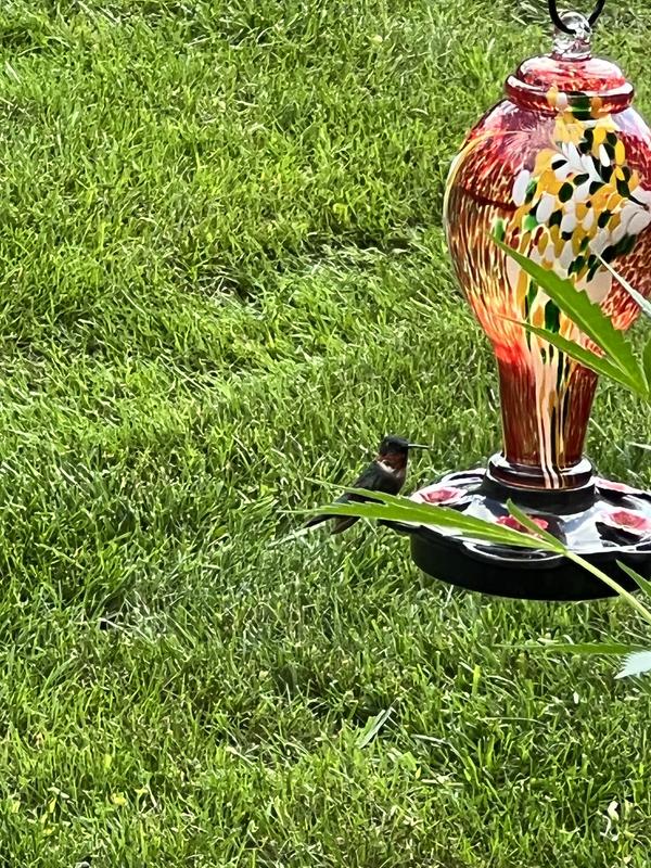 Photo - commentaire&nbsp;7.