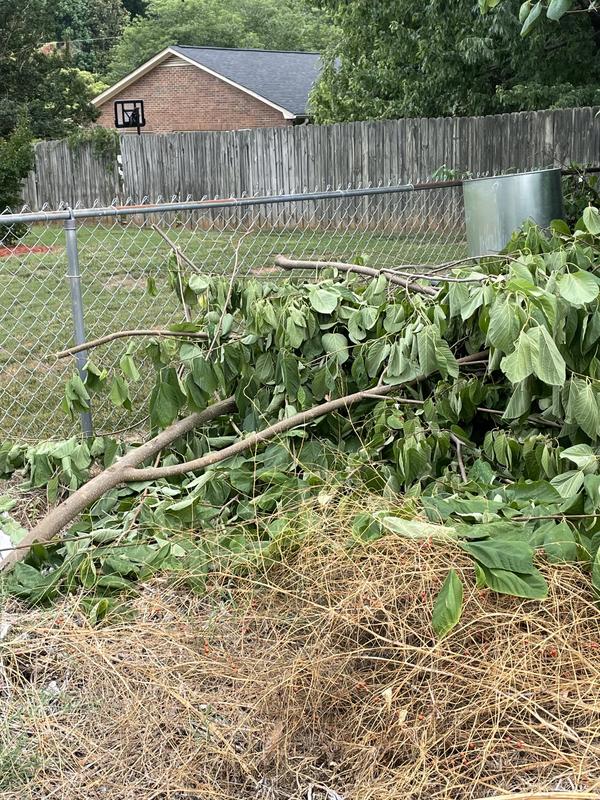 No more hanging limbs