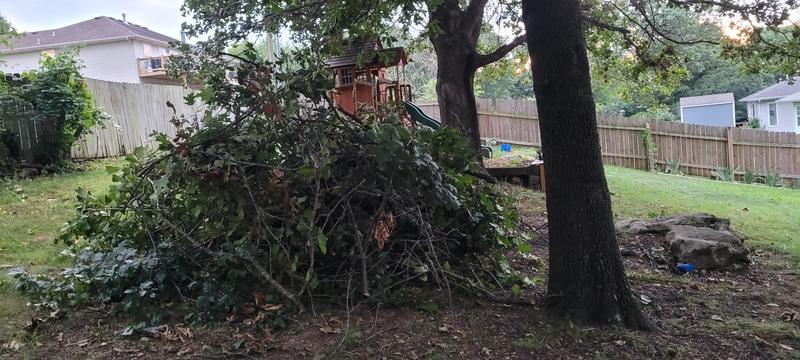 Took less than an hour!