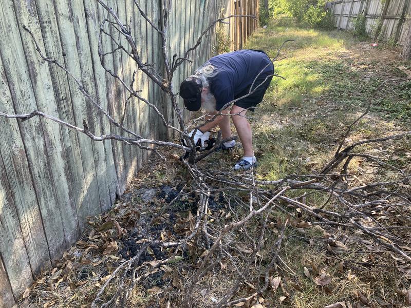 Photo - commentaire 2.