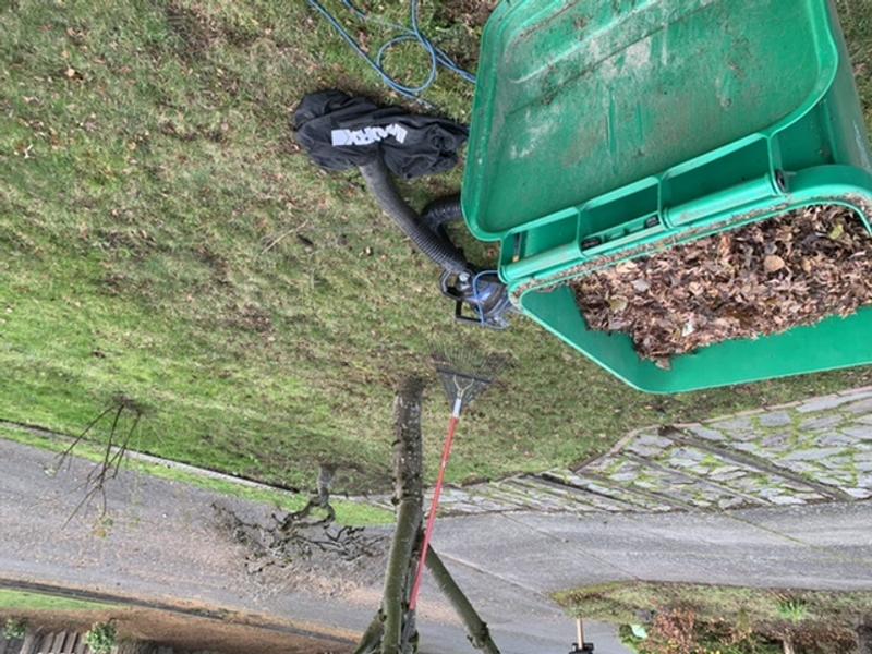 Photo - commentaire 3.