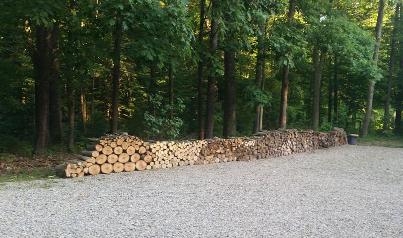 60 foot long stack of wood cut with 18" Worx chainsaw with 2 chains