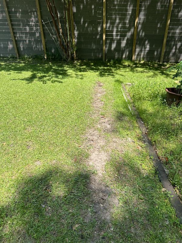 Photo - commentaire 7.