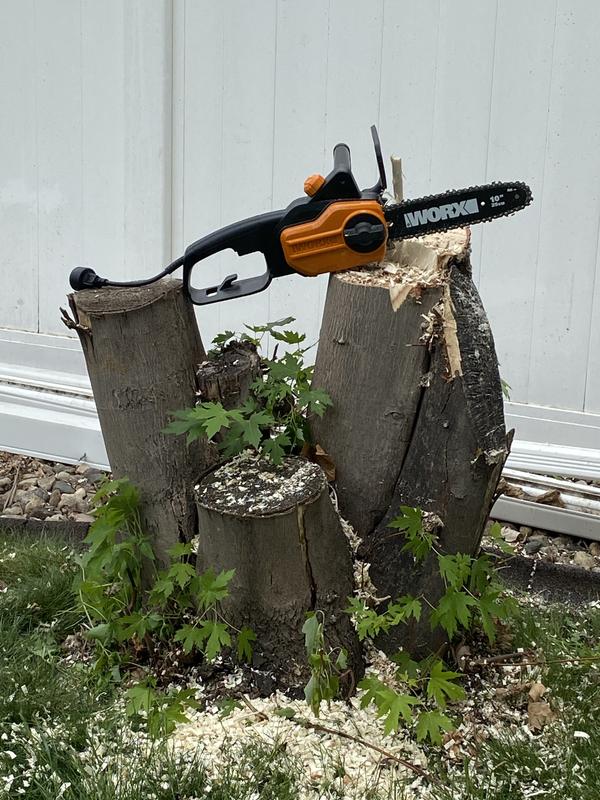 Just one of the many trees I cut down with this little beast