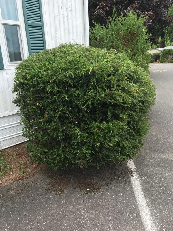 After about an hour of work. Easy-Peasy!