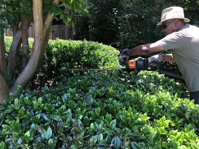 No matter the type of bush my trimmer handles it!!!