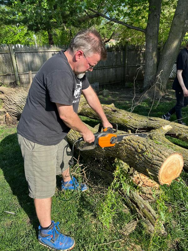 WORX POWER SHARE 20-volt Max 10-in Battery 2 Ah Chainsaw (Battery and  Charger Included) in the Chainsaws department at