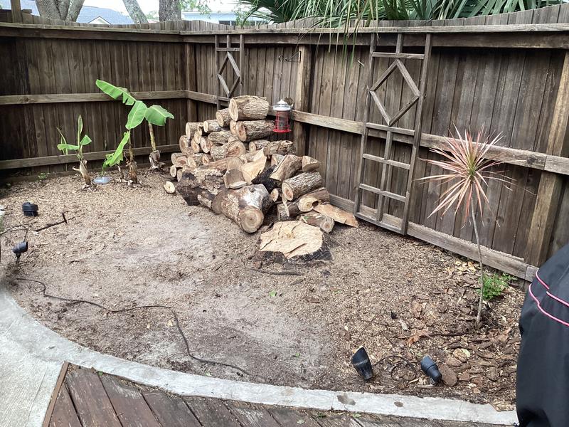 Great saw, not shown with extension pole