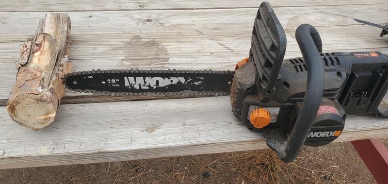 The log that won the the fight with the saw