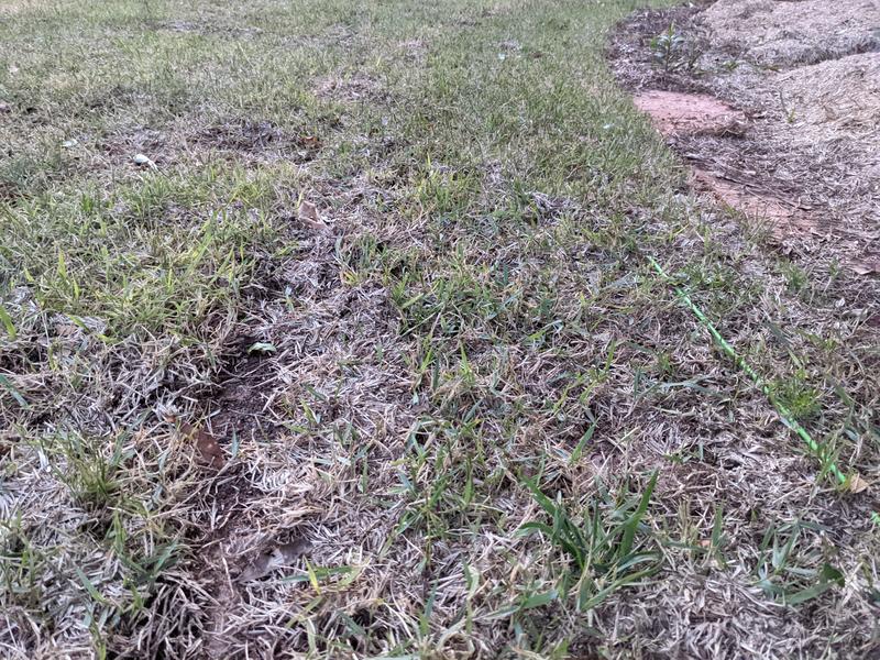 On the left you see is the rear wheels not getting enough traction and digging hole around the whole yard.