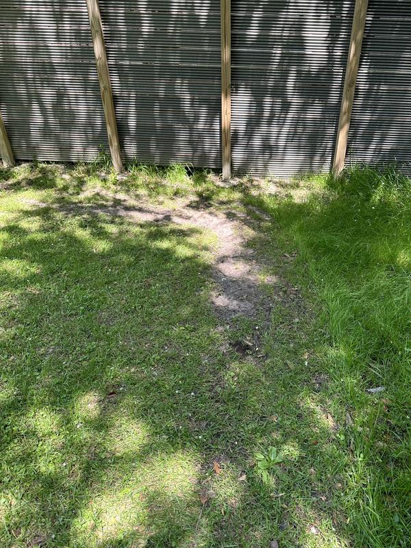 Photo - commentaire 8.