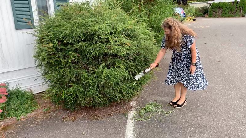 Perfect little tool for this girly girl!