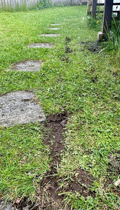 Where the hard plastic wheel digs a trench in the lawn
