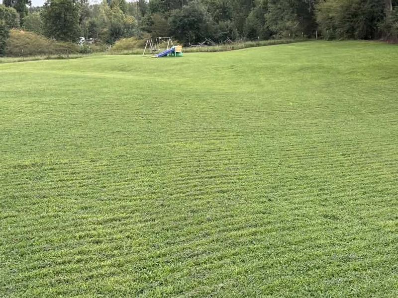 Neat Lines