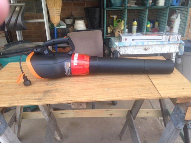 Worx Blower