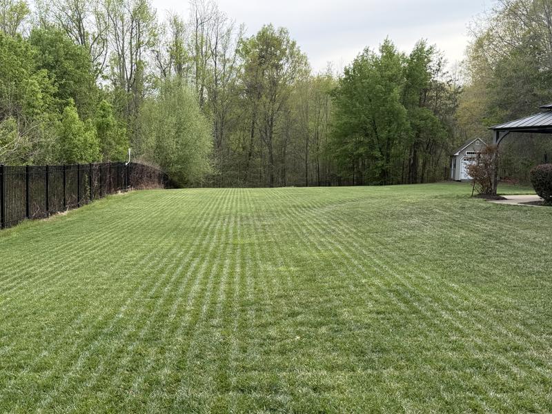 Look at those lines!