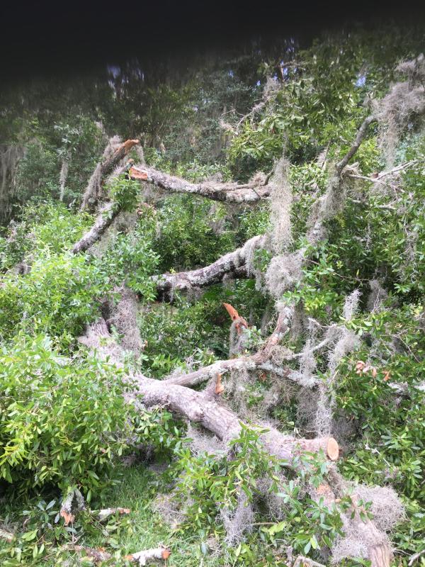 Photo - commentaire 5.