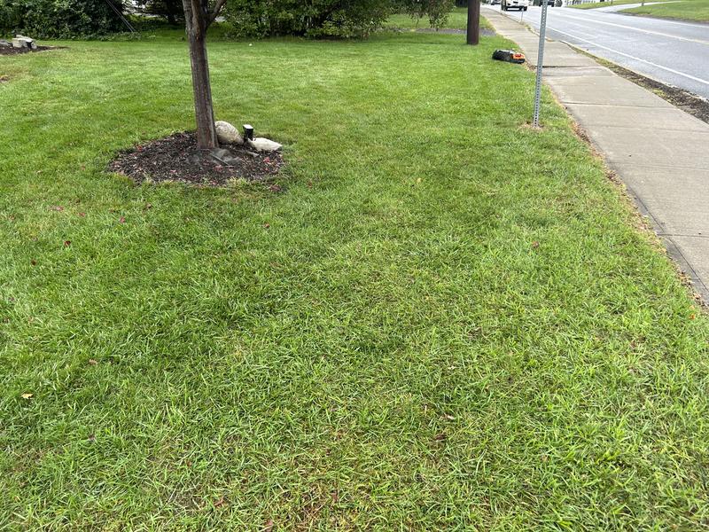 Customer photo 3