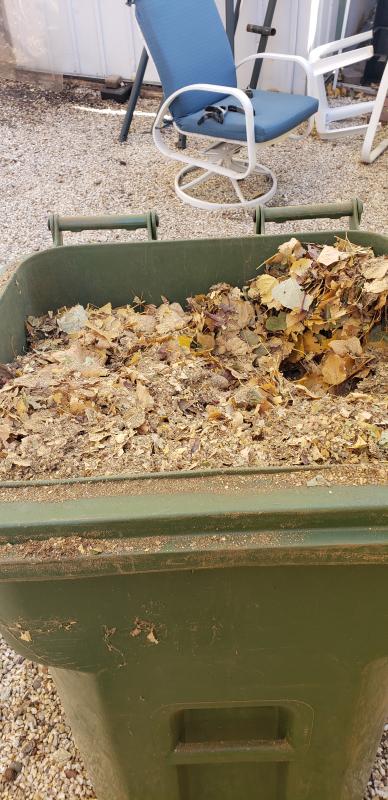 Photo - commentaire 7.