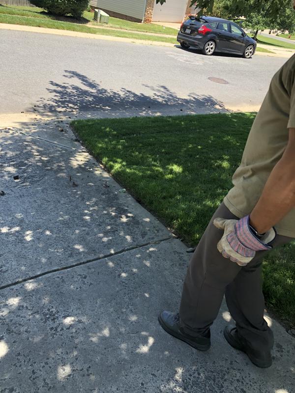 It easily blows loose grass and leaves with no problem