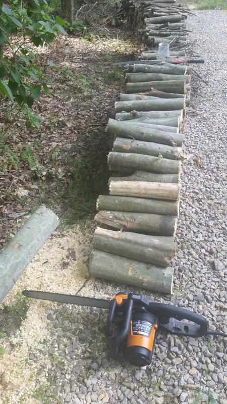 Firewood