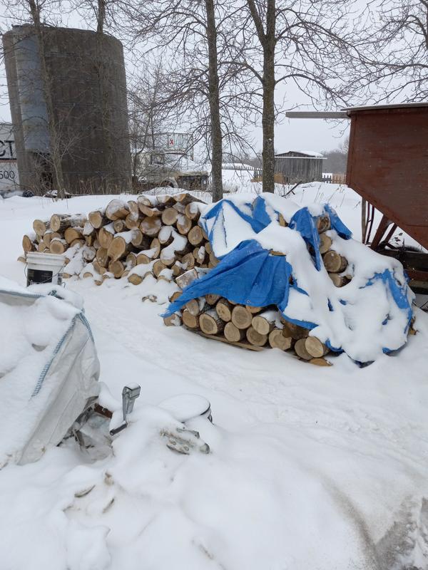 Need more wood cut