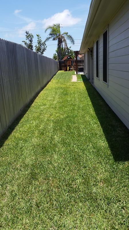 Long fence line on backside if yard.