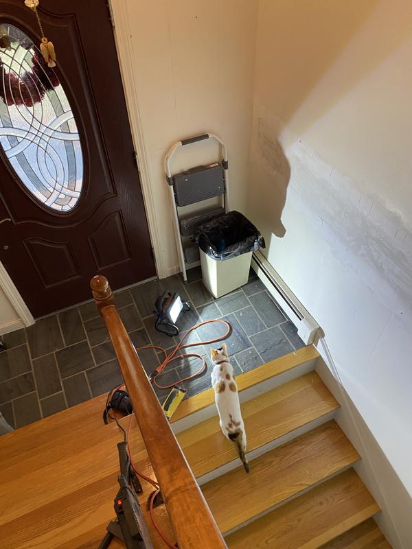 This is Solee. (see above)