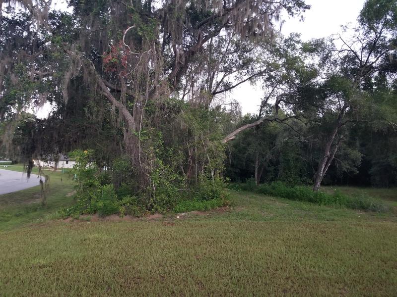 This was just the beginning.