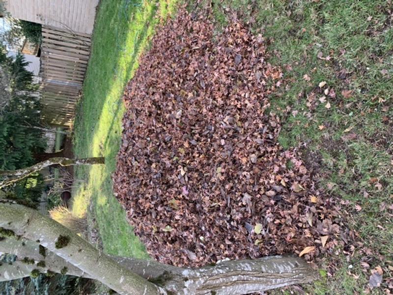 Photo - commentaire 4.