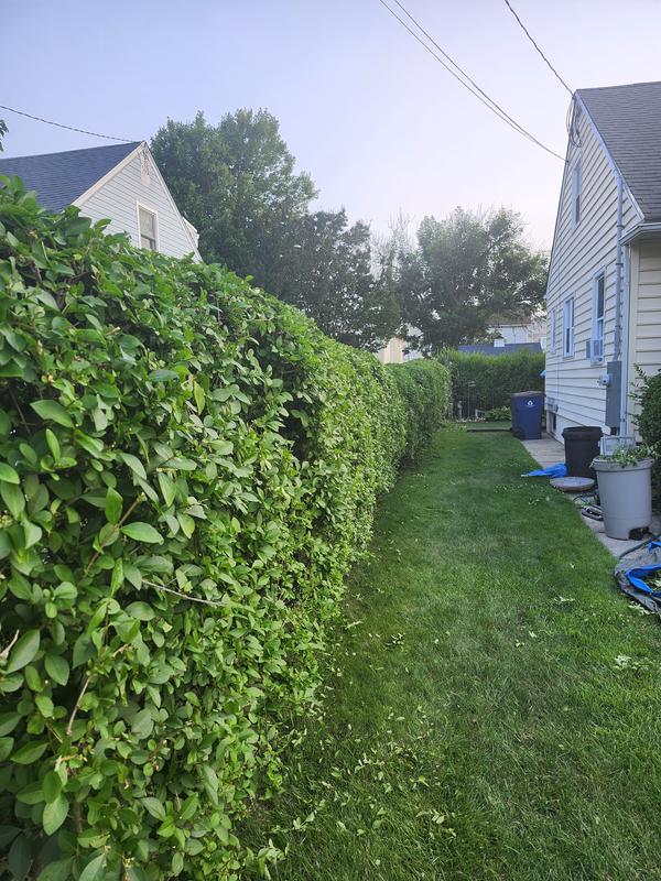 Bin cutting it for 50 years