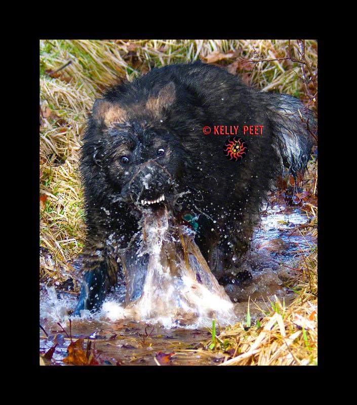 TIME FOR THE WORX Hydroshot Portable Power Cleaner! (No...he isn't possessed! LOL. He is playing in a water ditch!)