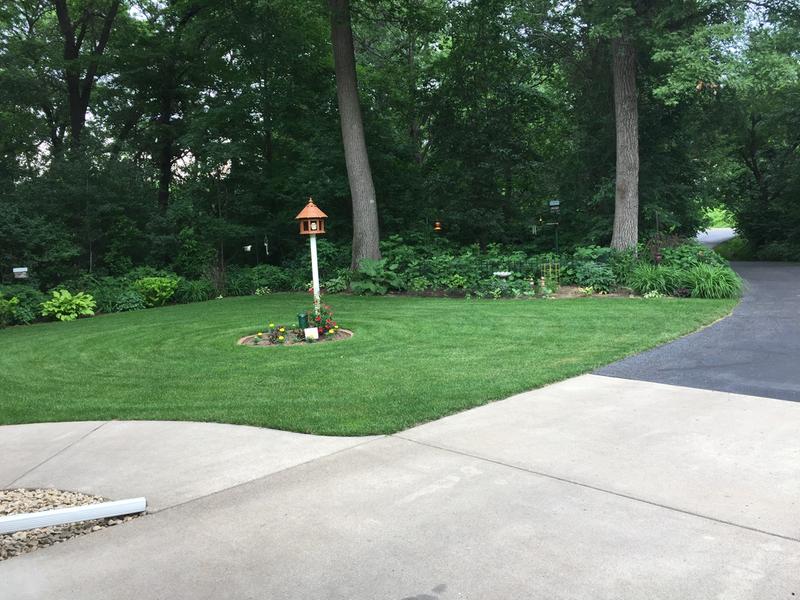 Front yard